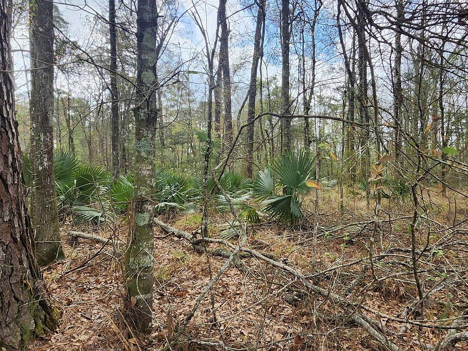 37316 Reinninger Rd, Denham Springs, LA 70706 | MLS #2026004099
