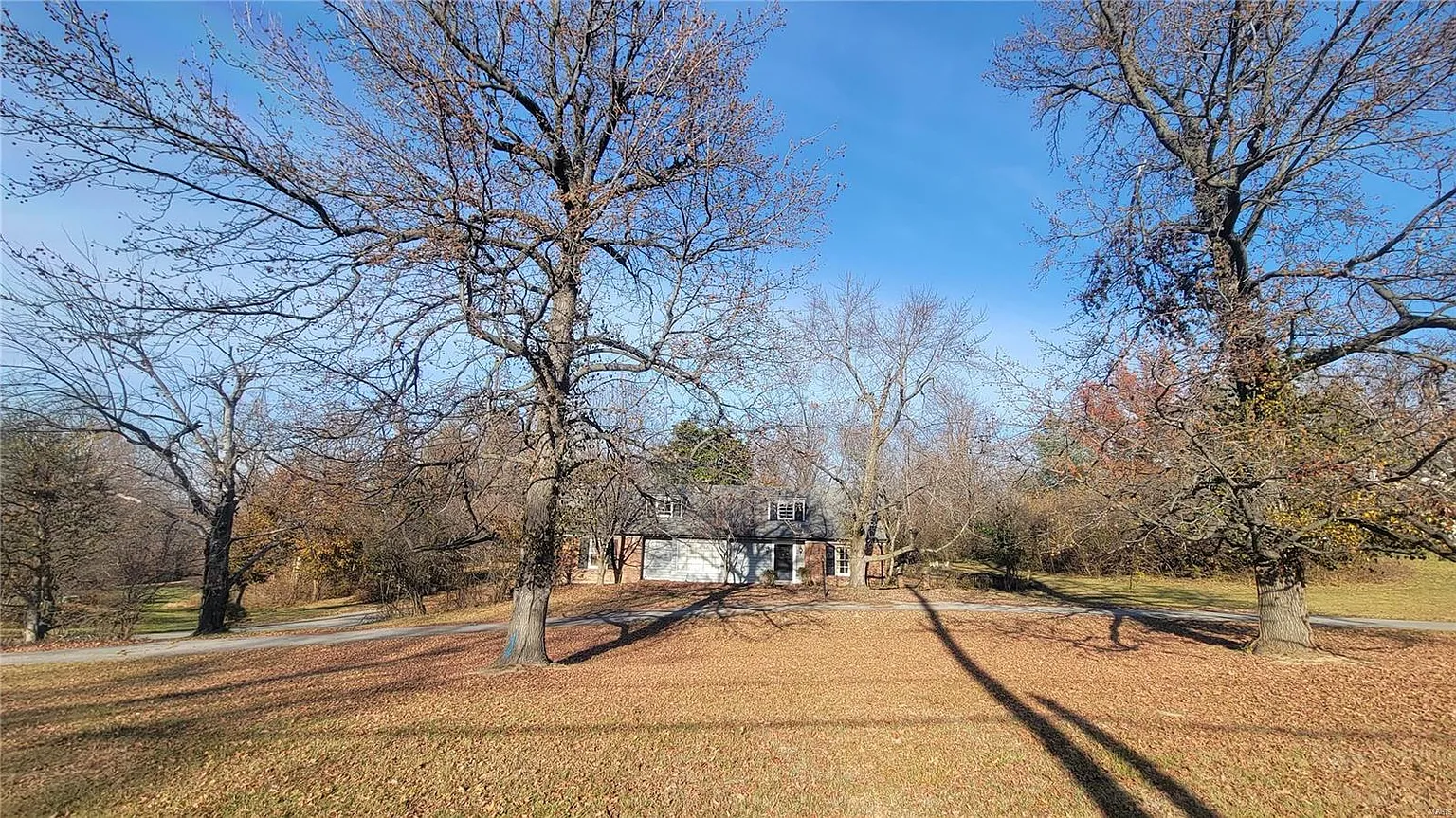 12403 Conway Rd photo 1