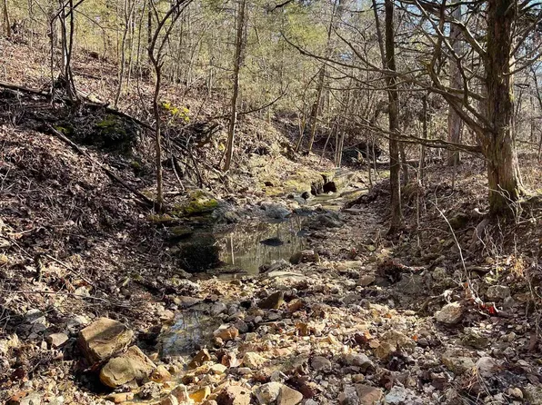 170614000000001 State Highway 160, Gainesville, MO 65655