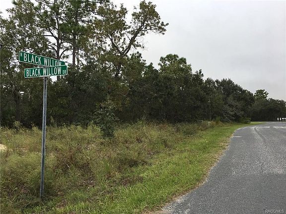 3rd image of 18 Black Willow Ct