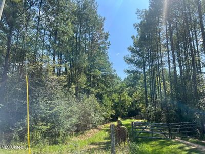 Nhn Old Biloxi Rd, Vancleave, MS, 39565