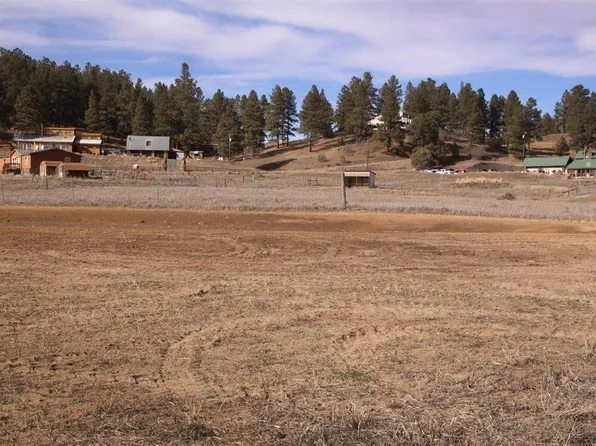 80 Dandelion Drive, Pagosa Springs, CO 81147