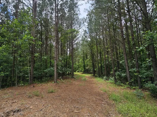 2063 Wedgewood Dr Lot 239, Linden, TN 37096