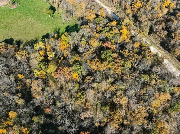 Bear Creek Dr, Dorchester, IA 52140