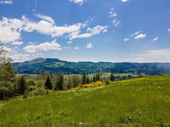 105 Galaxy Place, Woodland, WA 98674