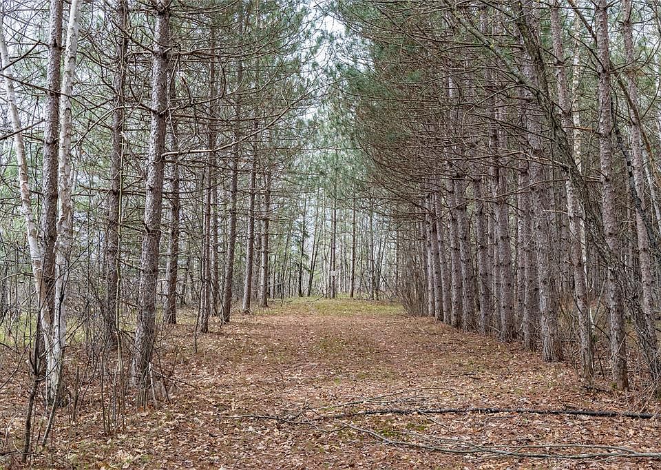 1st image of 40 Acres Adams & Jones Road