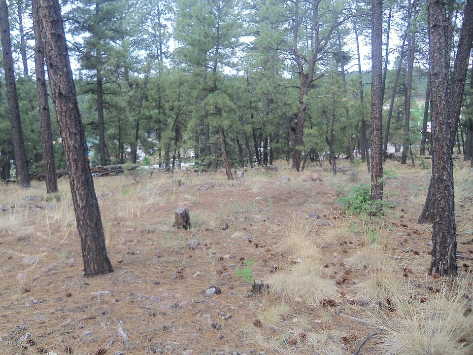 1st image of 1140 E Cactus Wren Lot 231