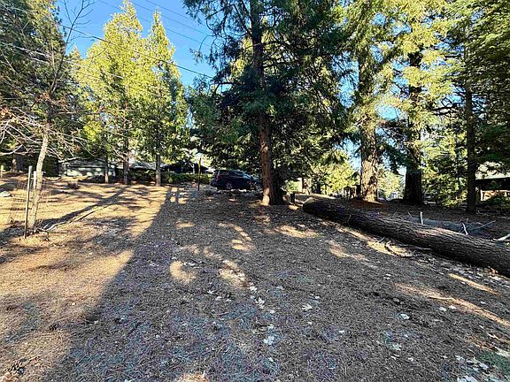 5th image of 638 Pine Canyon Rd
