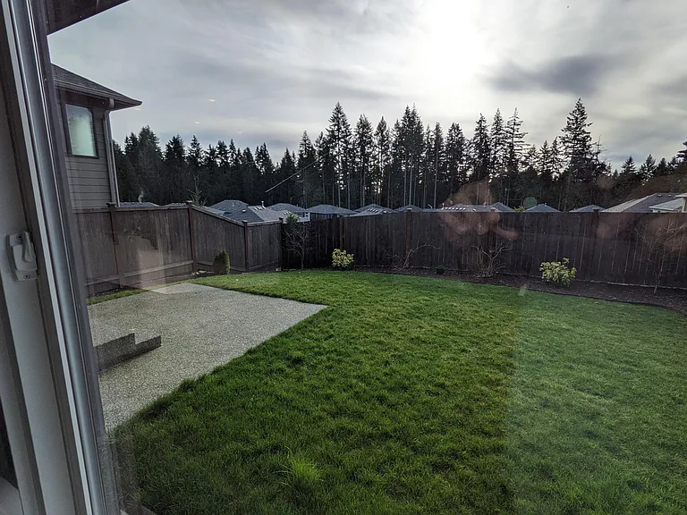 Backyard (Lots of Privacy in the back)