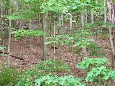 South Kent Road, Kent, CT, 06757