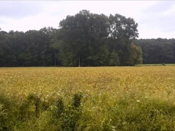 0 Rountree Road, Winterville, NC 28590