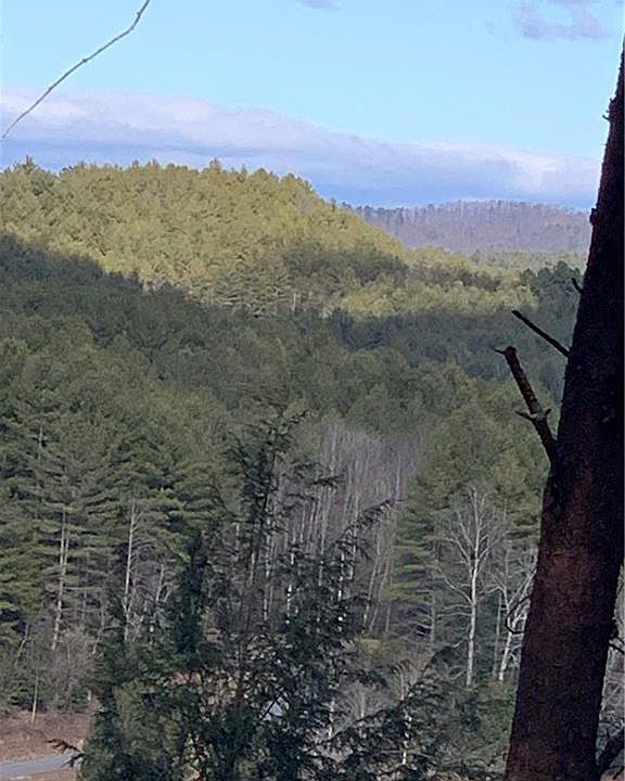 1st image of 403 Winding Creek Dr