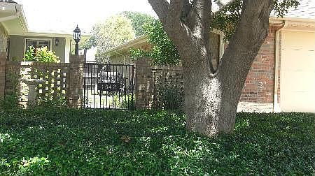 Front Yard