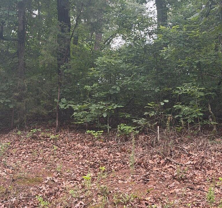 1st image of Shurden Owen Dr