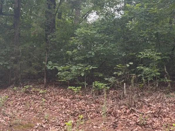Shurden Owen Dr, Gore Springs, MS 38929