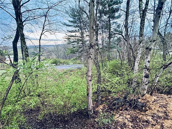 4th image of Saylor Rd