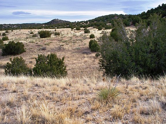 5th image of Red Creek Springs Rd Lot 2