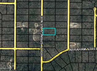 0 Holly Springs Ave, Alford, FL 32420