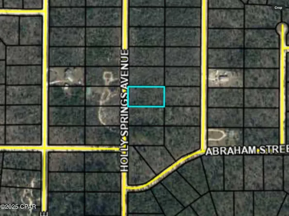 0 Holly Springs Ave, Alford, FL 32420