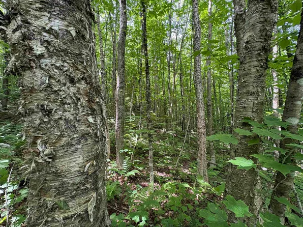 1819 Station Road, Sutton, VT 05867