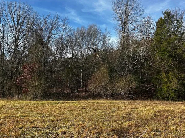 3 Southside Rd, Oden, AR 71961