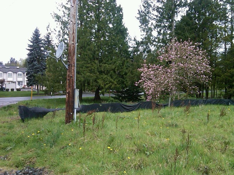 2nd image of 19323 Winesap Rd