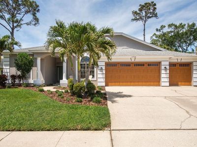 1793 Pipers Meadow Dr, Palm Harbor, FL, 34683