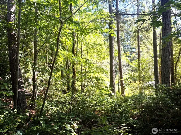0 Oak Street, Quilcene, WA 98376