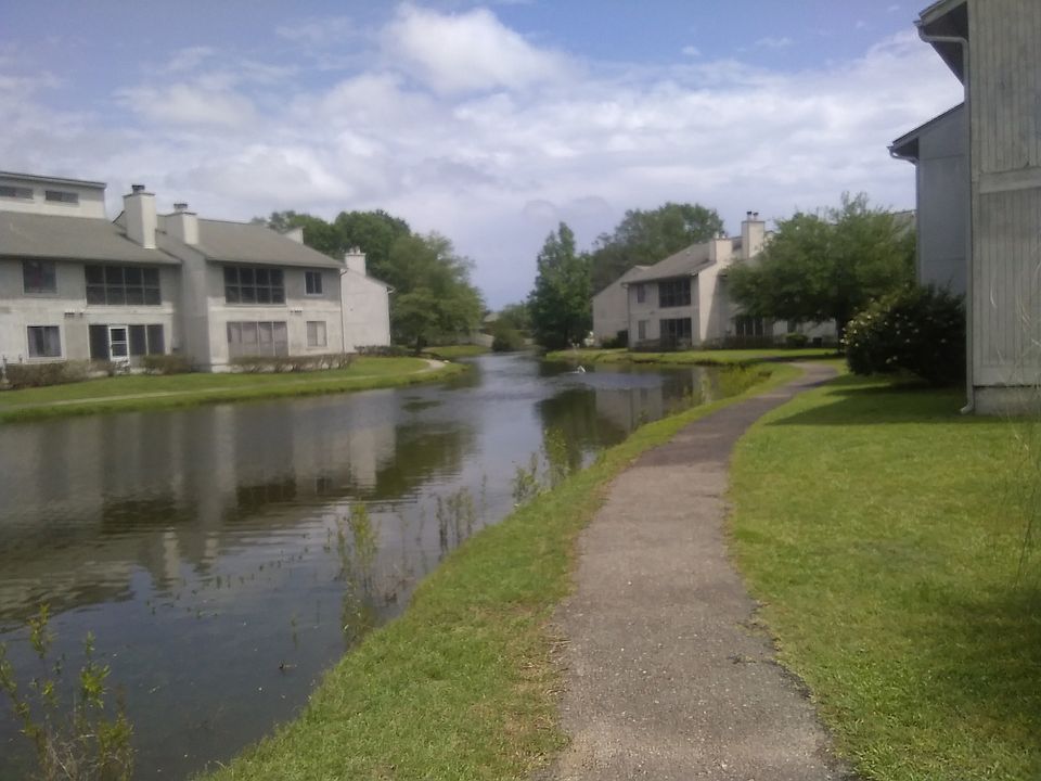 Walking path to pool around thepond