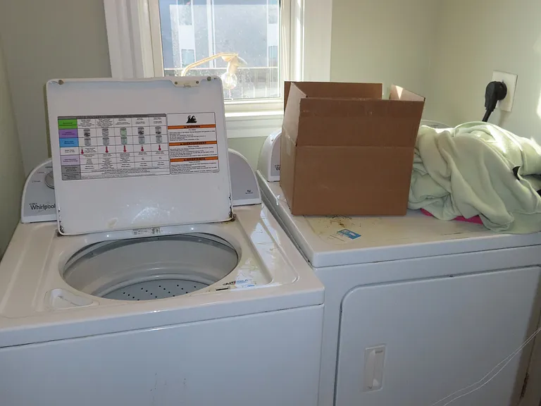 247 Boston St #3 — Photo 14