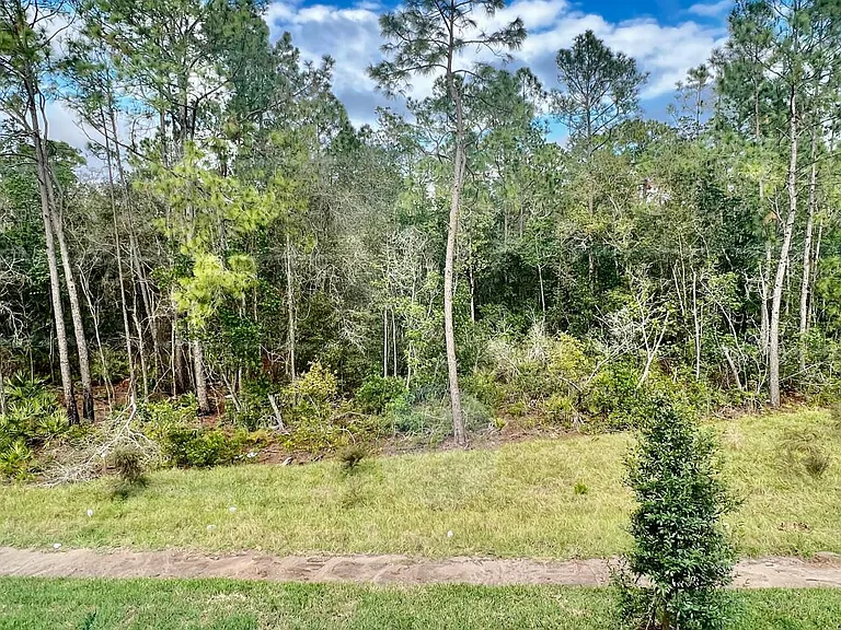 3591 Davenport Creek Ct — Photo 21