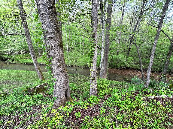 5th image of 1180 Raccoon Creek Rd