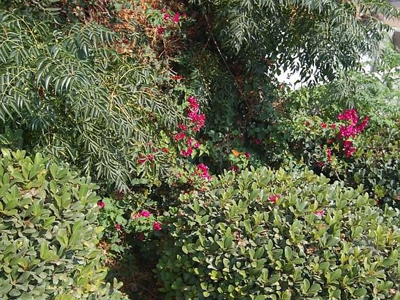 Park-like surroundings