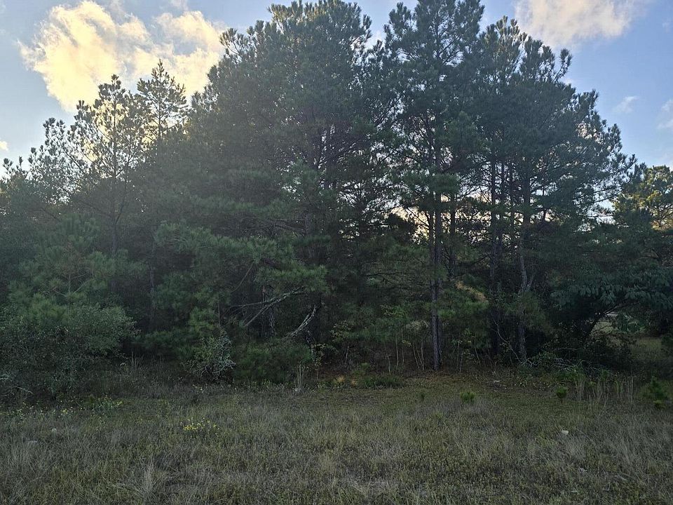 2nd image of Highway 25/tower View Dr