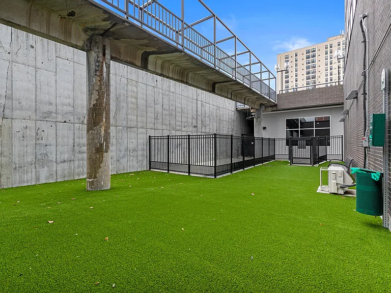 Dog Park