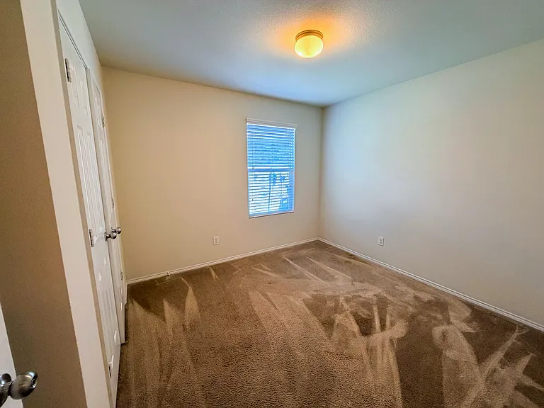 115 Waxberry Dr — Photo 17