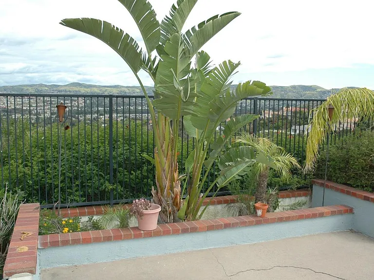 6374 E Paseo Celeste — Photo 99