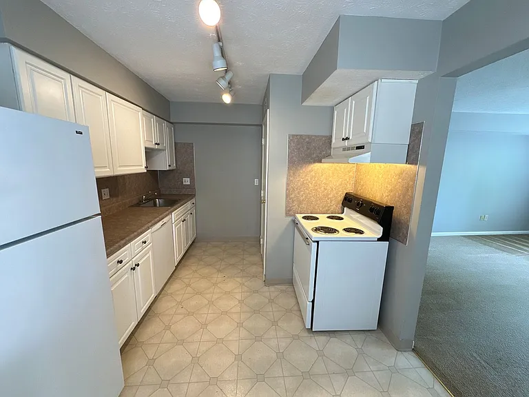 Wyandotte Ave 379 MLR — Photo 6
