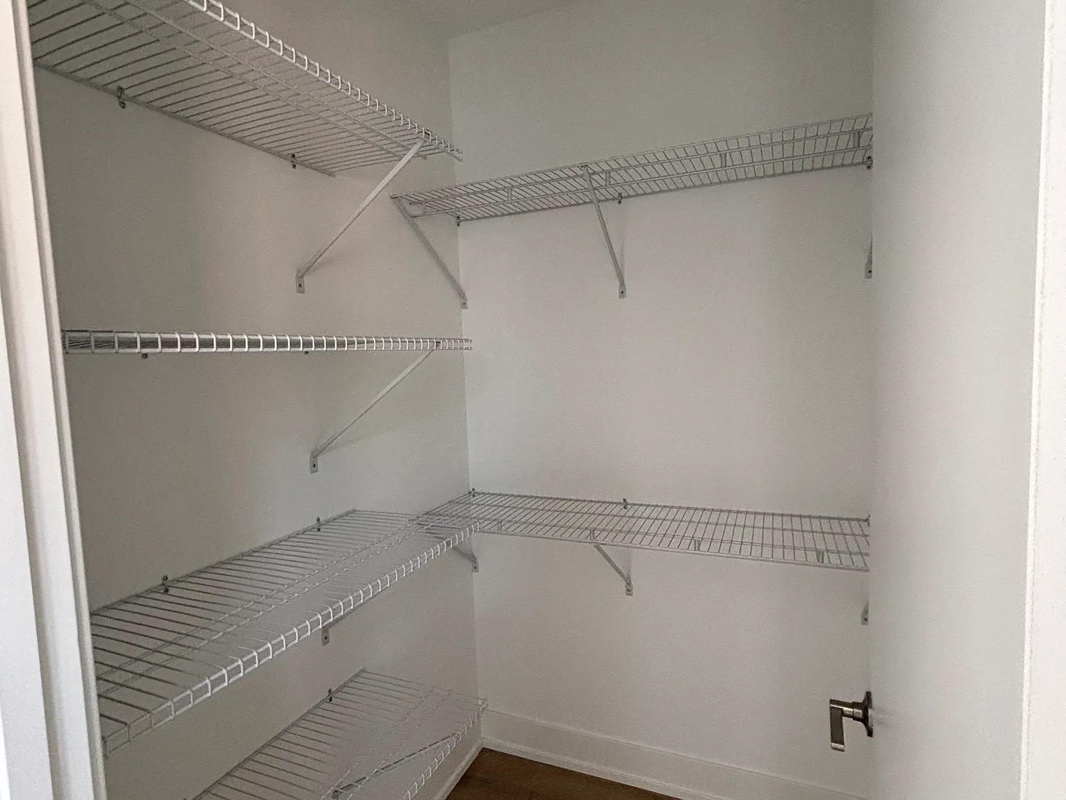 2 bed, 1200 sqft, $3,100 — Photo 3