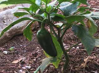 7908 Snook Hook Trl, Austin, TX 78729