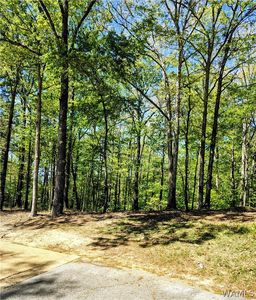 0 Clements Foley Rd, Northport, AL, 35473