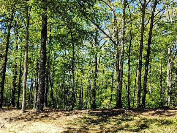 0 Clements Foley Rd, Northport, AL 35473