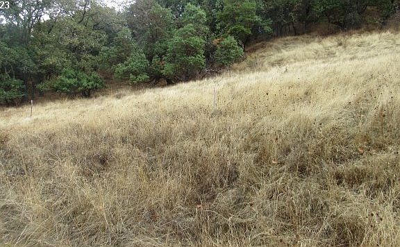 3rd image of 0 SE Meadowlark Ave
