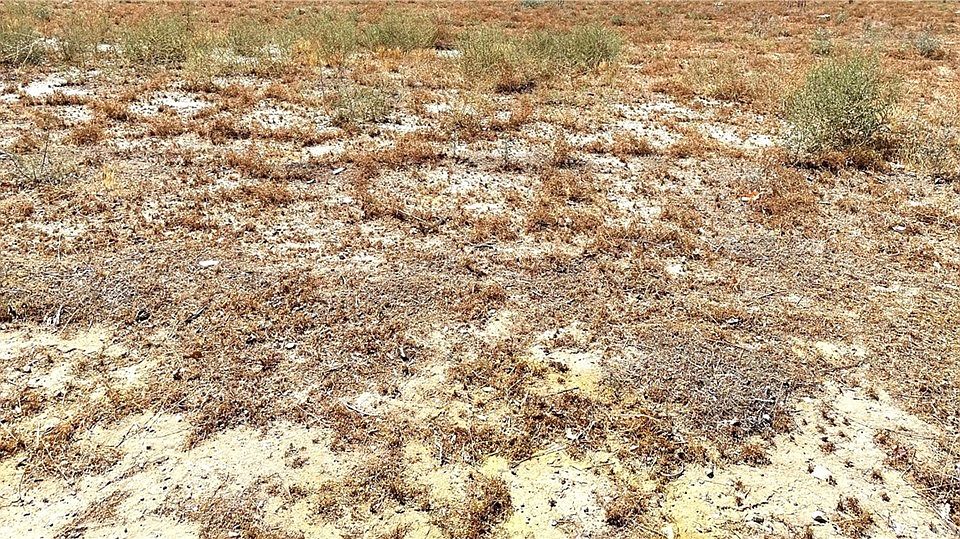 0 10th Ln, Big Bear City, CA 92314 MLS IV22157961 Zillow