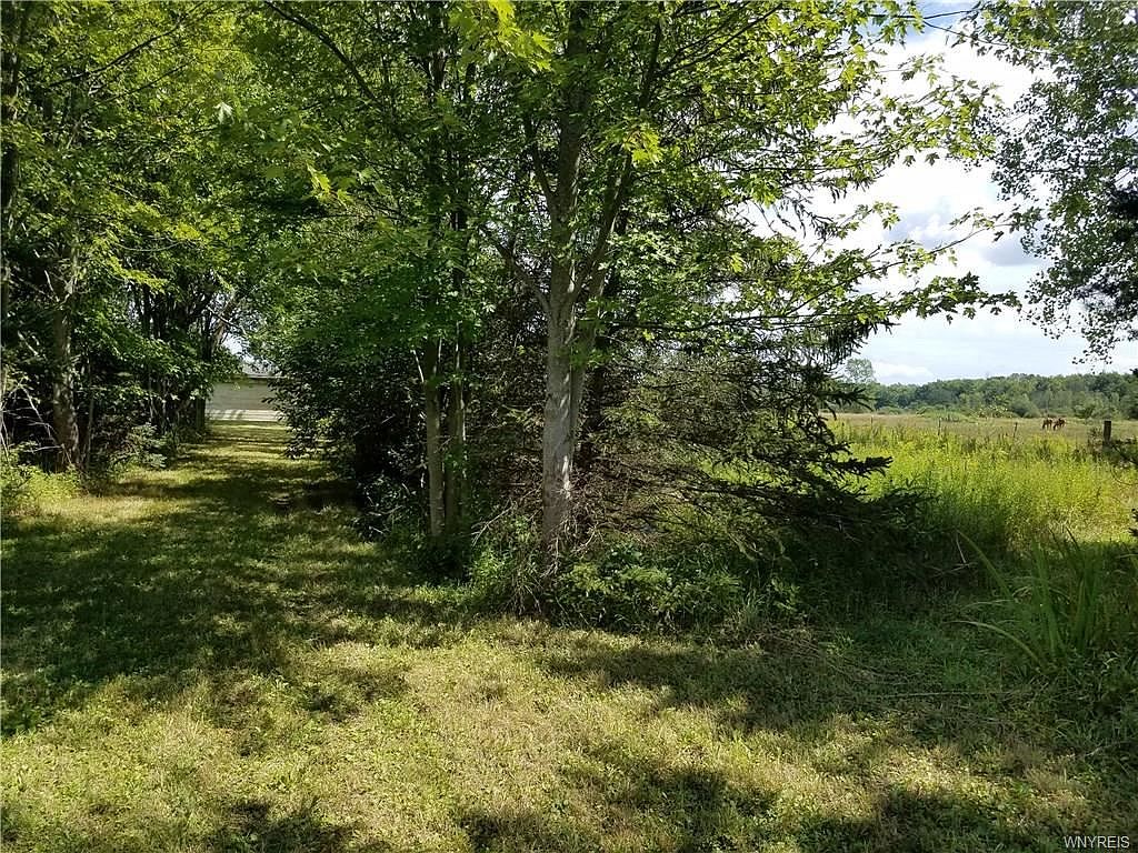 6013 Riddle Rd, Lockport, NY 14094 Zillow