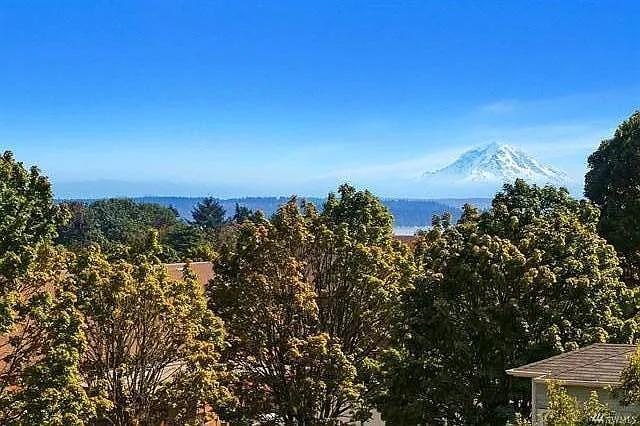 Full view of Rainier!