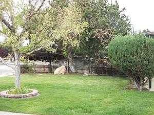 front yard