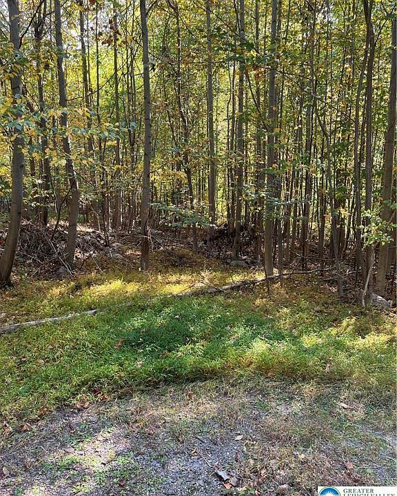 2nd image of 7893 Leaser Rd