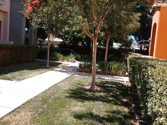 Front yard space
