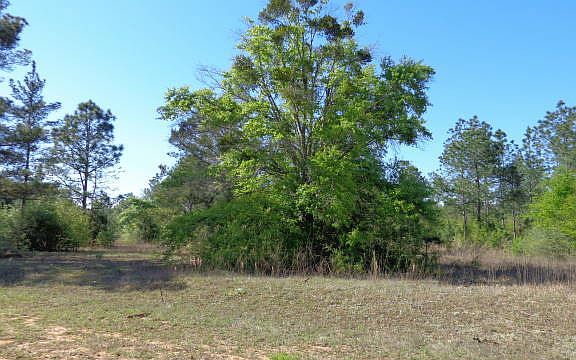 5th image of 599 Campbell Ln